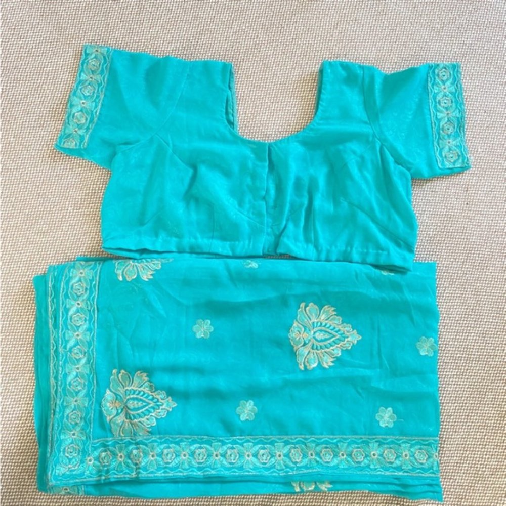 Beautiful Sari with gold embroidery
